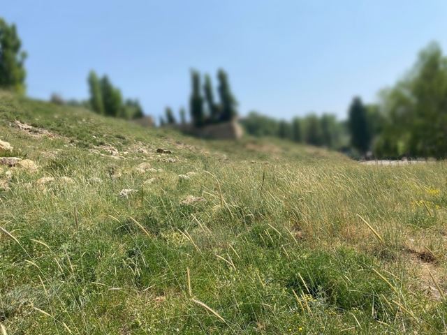 Land with a mountain view for sale in Fakra, Keserwan - photo 2
