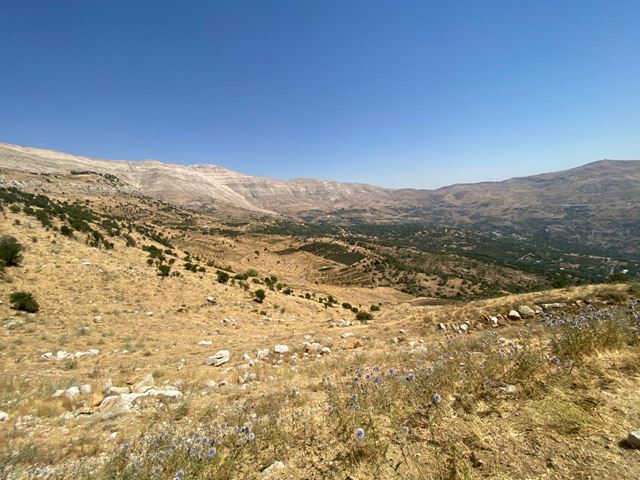 Land with a mountain view for sale in Fakra, Keserwan - photo 2