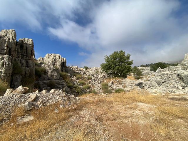 Land with a mountain view for sale in Fakra, Keserwan