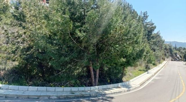 Sea-view land for sale in Kfour, Keserwan - photo 2