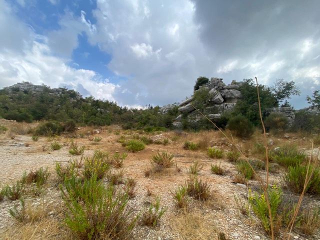 Land with a mountain view for sale in Faytroun, Keserwan - photo 3