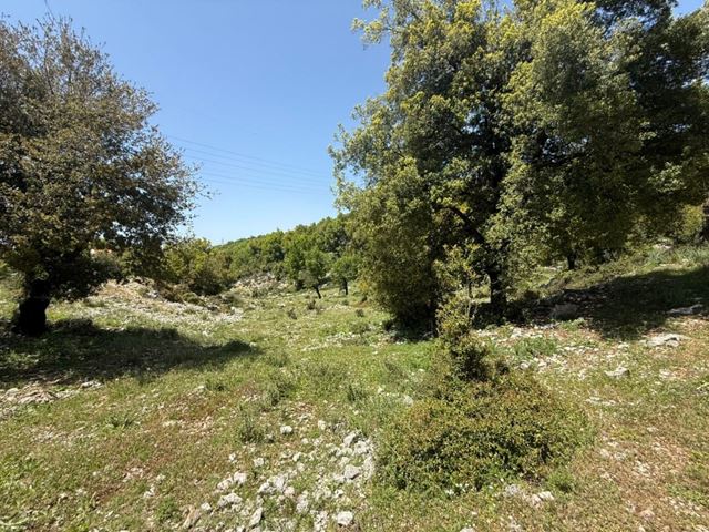 Land with a mountain view for sale in Ashkout, Keserwan