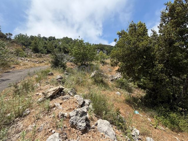 Land for sale in Faytroun, Keserwan - photo 3
