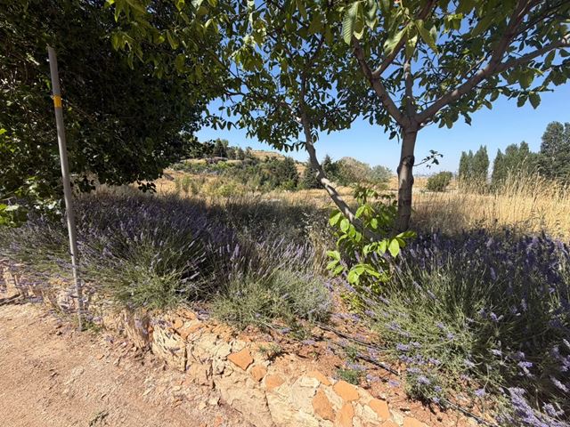 Land with a mountain view for sale in Fakra, Keserwan