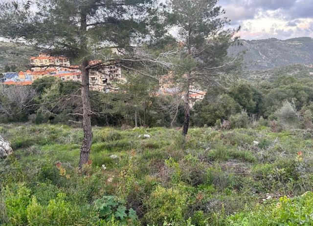 Land for sale in Dibbiye, Chouf - photo 2