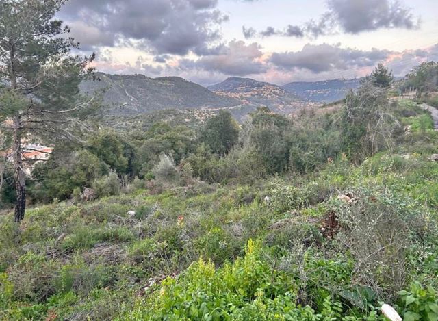 Land for sale in Dibbiye, Chouf