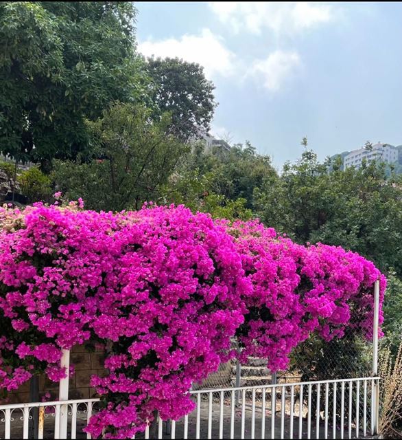 Apartment with a terrace for sale in Ain El Rihaneh, Keserwan