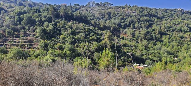 Land for sale in Debbieh, Chouf