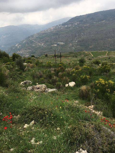 Land with a mountain view for sale in Chouf
