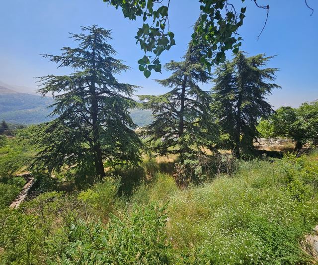 Land with a mountain view for sale in Kfarzebian, Keserwan - photo 3
