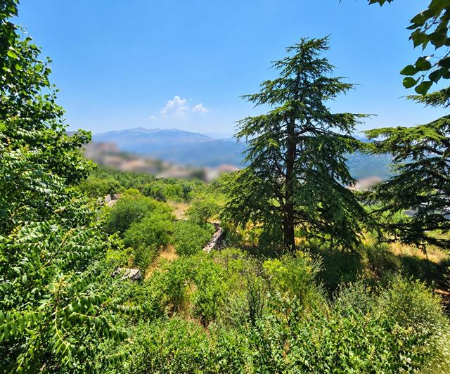 Land with a mountain view for sale in Kfarzebian, Keserwan