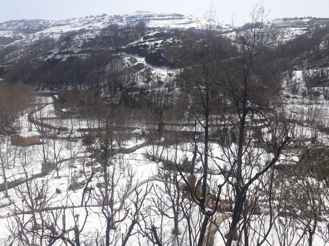 Land for sale in Kfarzebian, Keserwan