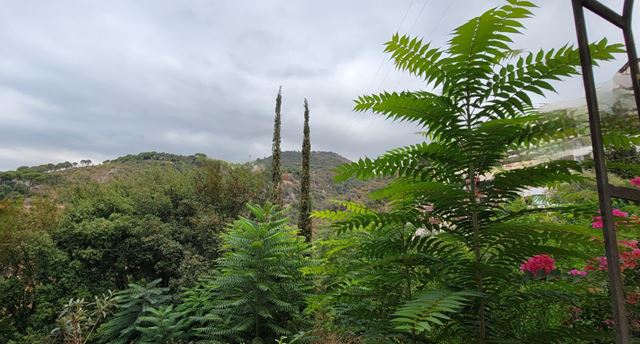 Apartment with a garden for sale in Zouk mikhayel, Keserwan
