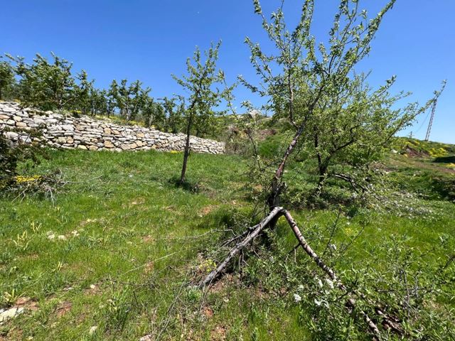 Land with a mountain view for sale in Laklouk, Jbeil - photo 3