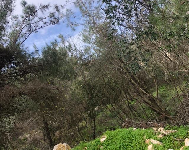 Sea-view land for sale in Roumieh, Metn