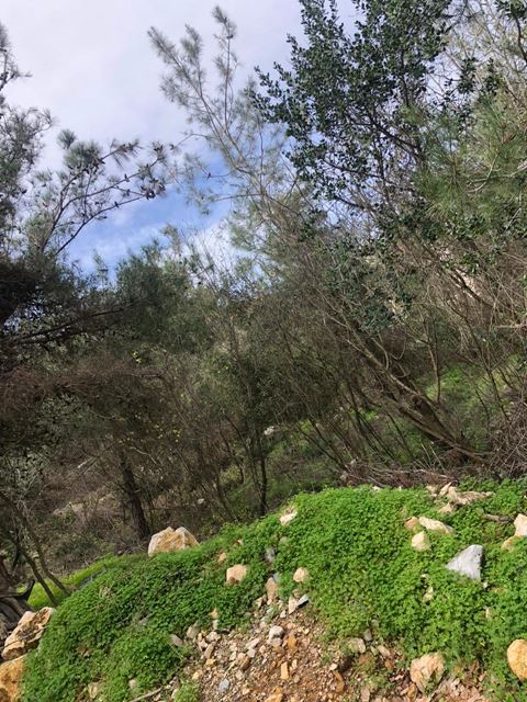 Sea-view land for sale in Roumieh, Metn - photo 3