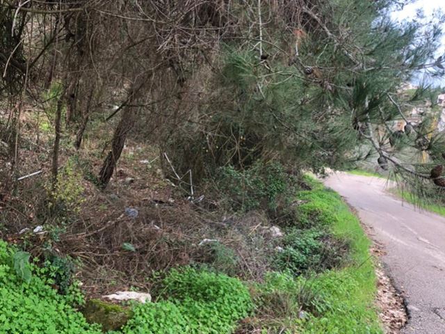 Sea-view land for sale in Roumieh, Metn