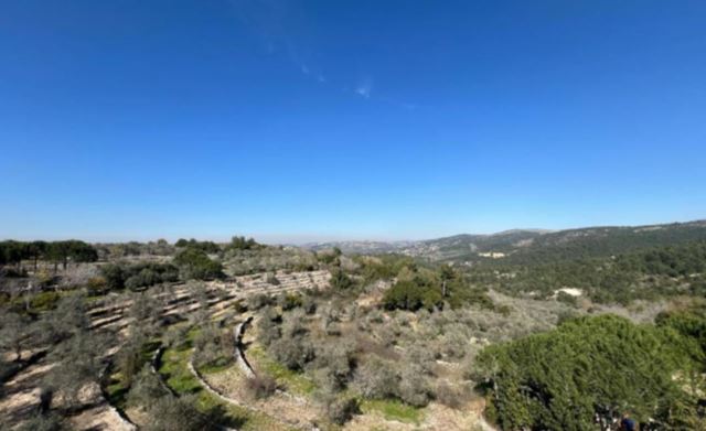 Villa with a garden for sale in Chouf