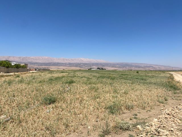 Land with a mountain view for sale in Laboui, Baalbeck