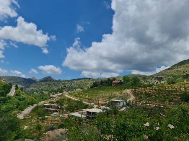 Land for sale in Batroun