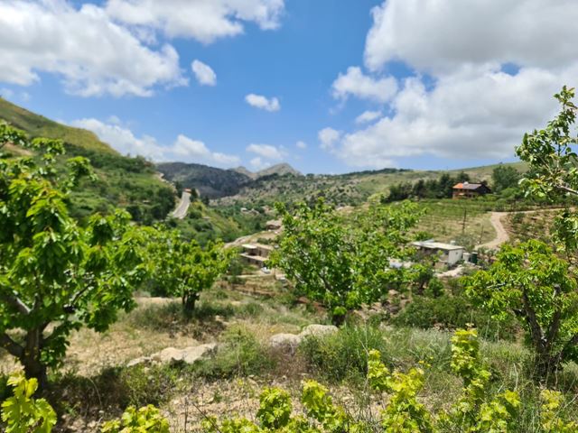 Land for sale in Batroun - photo 3