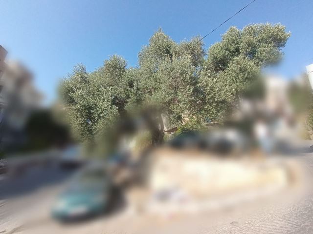 Land for sale in Zalka, Metn