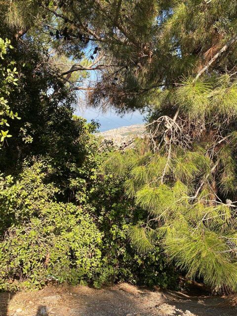 Sea-view land for sale in Ain Saade, Metn