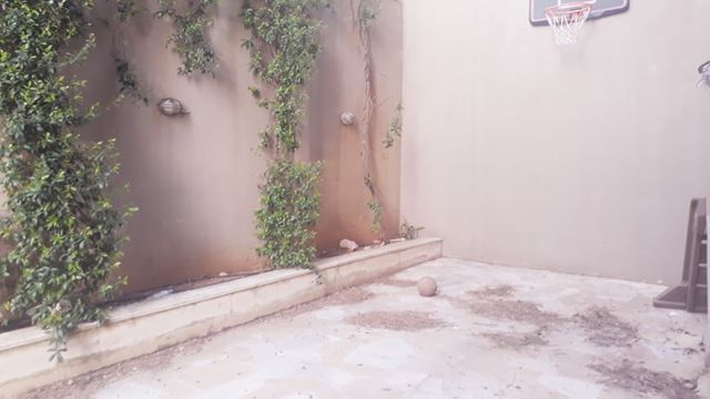 Apartment with a garden for rent in Ain Saade, Metn - photo 3
