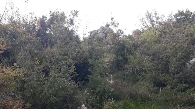 Land with a mountain view for sale in Klayaat, Keserwan - photo 2